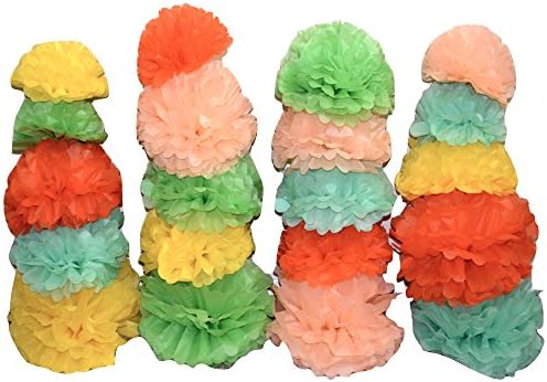 Paper Flower Tissue Pom Poms Party Decorations- 20 pcs of 10, 12, 14 Inch Paper Flowers - Perfect for Baby Shower, Wedding, Birthday (Rainbow)