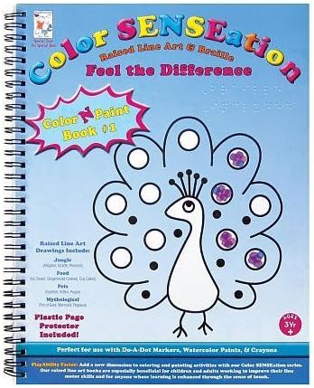 Raised Line and Braille Color-N-Paint Art Book-1 by PlayAbility Toys
