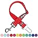 Blueberry Pet Dog Leash - Puppy Essentials & Heavy Duty Dog Leashes for Large Dogs, Safety Tether for Dogs & Cats, Rouge Red, 2