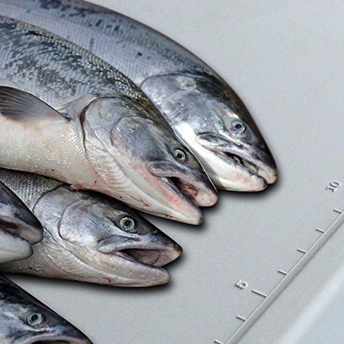 4 FORUP+Portable+Folding+Cleaning+Gardening