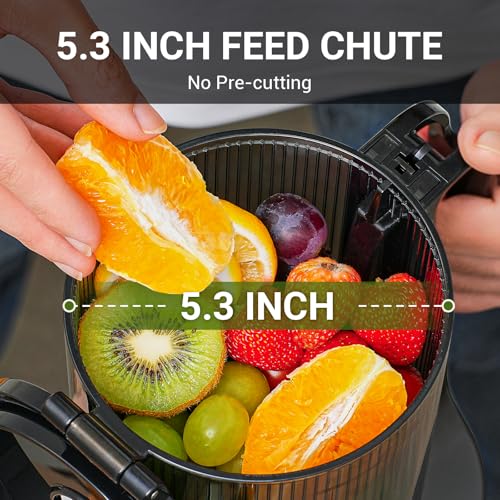 AMZCHEF Automatic Cold Press Juicer Machines 250W Liberate Your Hands -145MM Opening and 2L Capacity Slow Juicers for Whole Fruit and Vegetable, with Triple Filter, Safety Lock, Classic Black