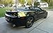 Rear Quarter Hash Graphic Decal - 2010-2014 Camaro - (Color: 3D Carbon Fiber)