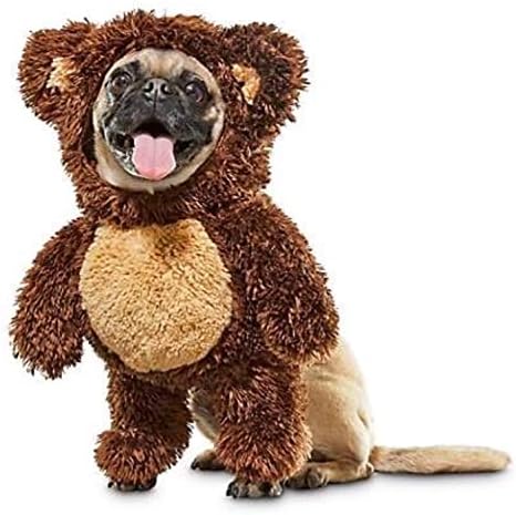 Teddy bear dog costumes Clearance