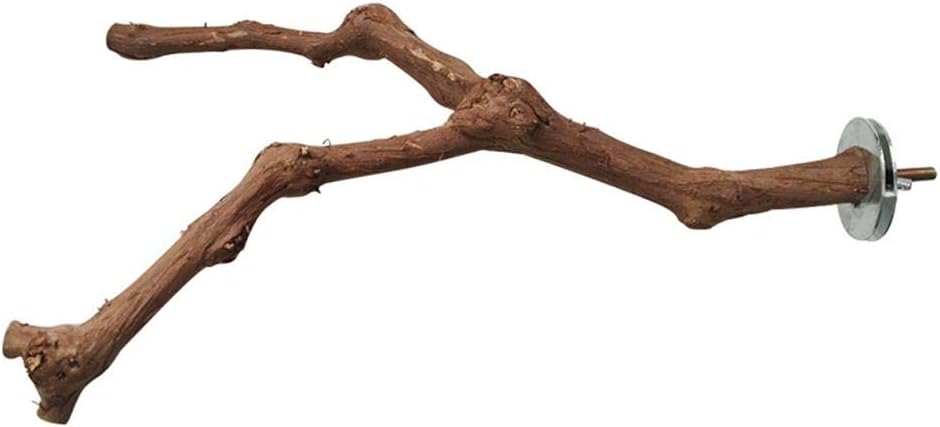 Amazon.com : Bird Perch Grape Wood Pole 