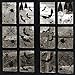 TMCCE 107 Piece Halloween Party Decorations Black Bats Spiders Glass Window Clings Decals Stickers for Halloween Party Supplies Favor