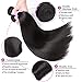 Flady Malaysian Straight Virgin Hair 3 Bundles with Closure 8a Grade Unprocessed Virgin Human Hair Bundle with Lace Closure (10 12 14+8inch)