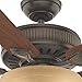 Casablanca 55006 Ainsworth Gallery 60-Inch 5-Blade Single Light Ceiling Fan, Onyx Bengal with Distressed Walnut/Dark Walnut Blades and Toffee Glass Bowl Light