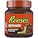 Reese's Spreads Peanut Butter Chocolate Jar, 13oz