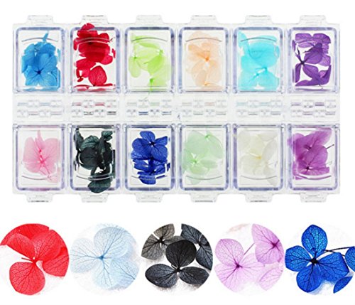 Wehous 2 Packs Nail Art Dry True Flower Nail Stickers Decoration 3D Kit