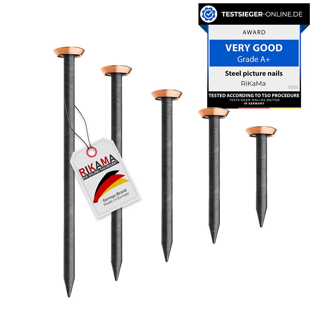 RIKAMA® – 50 Picture Nails in a Mix of 10 each x 20mm, 25mm, 30mm, 40mm, 50mm with Holder – Steel Nails for Use on Concrete, Brick, Plaster & Wood – Made in Germany (Copper Head)