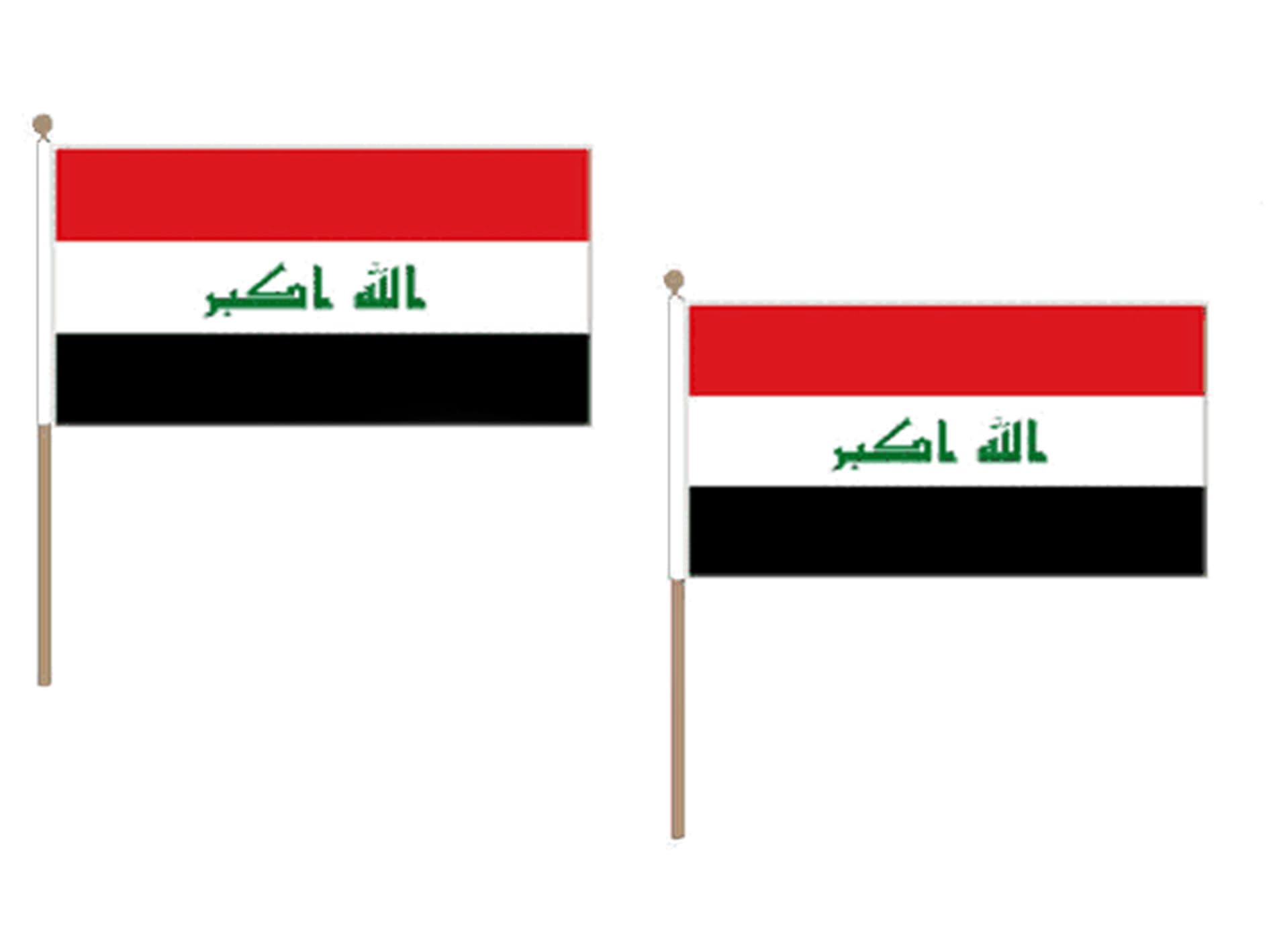 Iran Flag 12'' x 18'' wood stick - Iranian - Persian flags 30 x 45 cm - Banner 12x18 in with pole - AZ FLAG