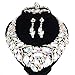 WANG Bridal Costume Jewelry Sets Crystal Choker Necklace Earrings Ring Bracelet Set for Wedding Party Dress with Gift Box