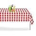 Grandipity 12 Pack Premium Disposable Plastic Picnic Tablecloth 54 Inch. x 108 Inch. Decorative Rectangle Table Cover - Red Checkered Gingham