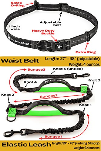 Pet Dreamland Hands Free Dog Running Leash - One/Two Medium to Large Dogs (up to 150lbs) - Adjustable Dog Walking Leash - Running Dog Belt - Waist Retractable Dog Leash (One Dog, Black & Green)