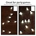 100 Pack LED Standby Balloon Lights White for Weddings,Christmas Decor, Party (100, Warm White)