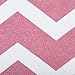 DII Non Woven Polyester Storage Bin, Chevron, Rose, Small Set of 2