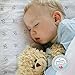 Brooklyn Bamboo | Extremely Soft, Organic Bamboo, Fitted Crib Sheet (Standard Size) | Hypoallergenic & Breathable | Perfect for Boys & Girls | Unisex Design | Panda Bear Design