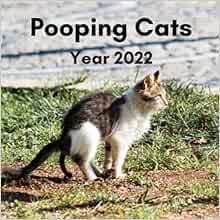 Pooping Cats 2022 Calendar: Funny Cats Answering Nature's Call For Cat