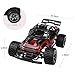 Remote Control Car RC Buggy - 2 WD 2.4Ghz Off-Road Racing Truck 1:16 RC Car with 2 Rechargeable Battery &Storage Bag(Red)
