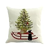 Goddessvan Christmas Printing Dyeing Pillow Cover Sofa Bed Home Decor Cushion Cover 1818 Inch (1818 Inch, A)