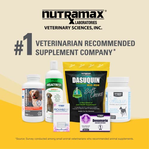 Nutramax Dasuquin with MSM Joint Health Supplement for Large Dogs