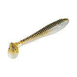 Strike King RGSW234-47 Rage Tail Rage