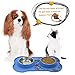 VIVAGLORY Dog Bowls, Dog Food Bowls, Stainless Steel Cat Puppy Water Bowls with Non Spill Skid Resistant Silicone Mat, Small, Blue