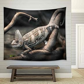 Chameleon - Fabric Wall Tapestry Home Decor - 51x60 inches