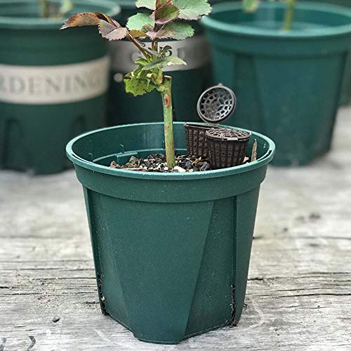 Fertilizer Box Bonsai Planting Automatic Fertilization Device Agriculture Tools Fertilizer Baskets Garden Nursery Supplies 12Pcs - Thumbnail 5