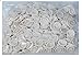 ESDProduct Nitrile Finger Cot, 4 mil Thick, 2-7/10