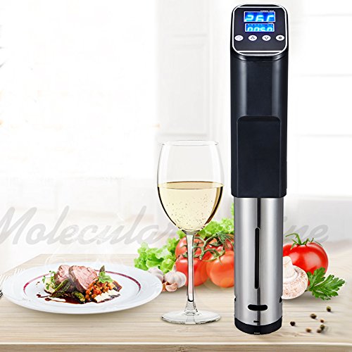 Sous Vide Precision Vacuum Slow Cooker with Thermal Immersion Circulatory Accurate Temperature Digital Timer LED Elegant Display
