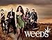 Weeds Season 6 [HD]