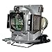 AuraBeam Professional Replacement Projector Lamp for BenQ 5J06001001 With Housing (Powered by Philips)