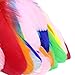 Coceca 150pcs Large Colorful Feathers for Arts and Crafts