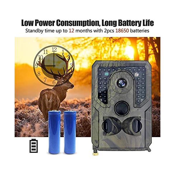 EXCLVEA Wildkamera 12mp 1080p Infrarotkamera Infrarot Nachtsicht Wildlife Scouting Kameras für die Überwachung von… – Bild 6
