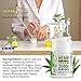 Hemp Cream Pain Relief by New Age - Natural Hemp Extract Cream for Arthritis, Back Pain Muscle Pain Relief - Efficient Inflammation Cream & Carpal Tunnel Relief - Made in USA - Good for Skin Health