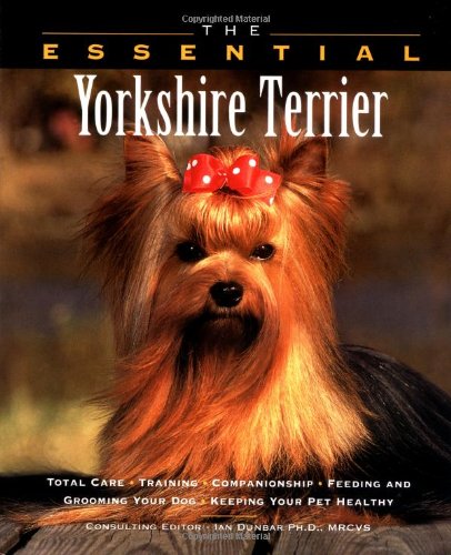 owning a yorkshire terrier