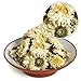 GOARTEA 100g (3.5 Oz) Organic Premium Huangshan GongJu tribute chrysanthemum Flower Floral Herbal Chinese Tea