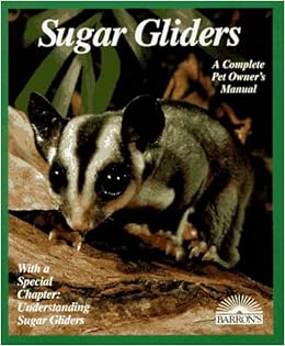 sugar glider amazon