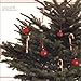 Scratch and Sniff: Christmas