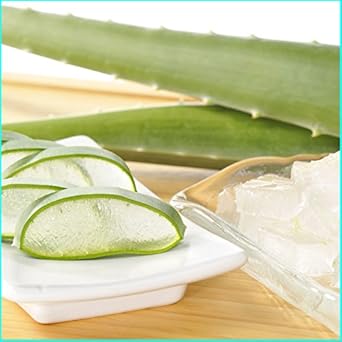 アロエベラ５ｋｇ/食用アロエ/食べるアロエ/お刺身、手作り化粧水、アロエヨーグルト等