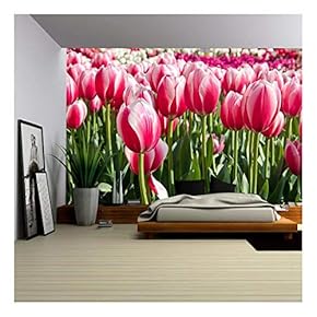 Bright Colored Tulips on a Meadow in Spring - Removable Wall Mural | Self-Adhesive Large Wallpaper - 66x96 inches