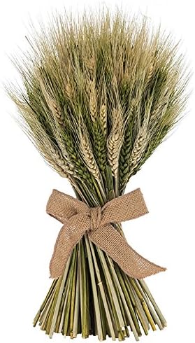 Natural Dried Wheat Stalk Bundle - 16" H