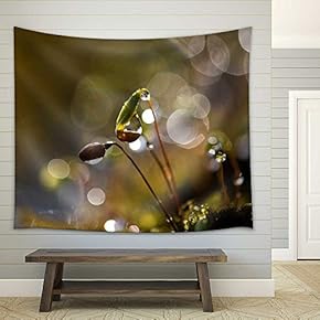 Water Droplets - Fabric Wall Tapestry Home Decor - 51x60 inches