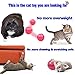 CHERRYLIFE Smart Interactive Cat Toy - 2019 Newest USB Rechargeable Cat Toy Ball, 360 Degree Self Rotating with Built-in Led Light,More Exercise for Your Kitty
