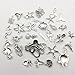 iloveDIYbeads Silver Marine Charm Collection-100g Craft Supplies Marine Life Seashell Charms Pendants for Crafting Jewelry Findings Making Accessory For DIY Necklace Bracelet (M072)