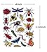 Insect Bug Butterfly Scrapbook Stickers (10 Sheets)
