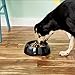 Dogit Go Slow Anti-Gulping Dog Bowl, Black, Medium