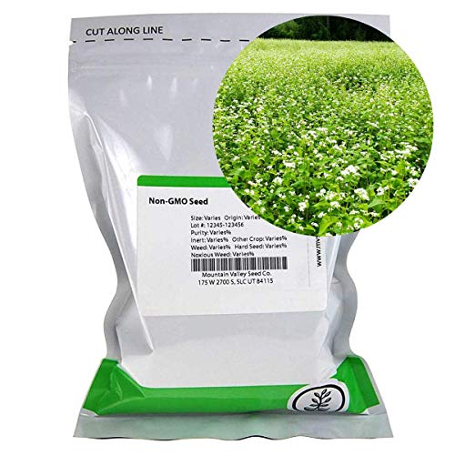 Top 10 Bulk Seeds 50 Lb of 2020 No Place Called Home