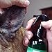 Silver Shield Dog & Bedding Spray | All Natural Colloidal Silver Dog Hygiene Spray